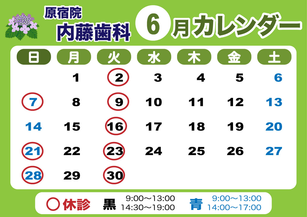 2026-6-harazyuku